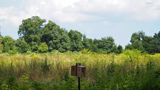 Dorbrook Recreation Area